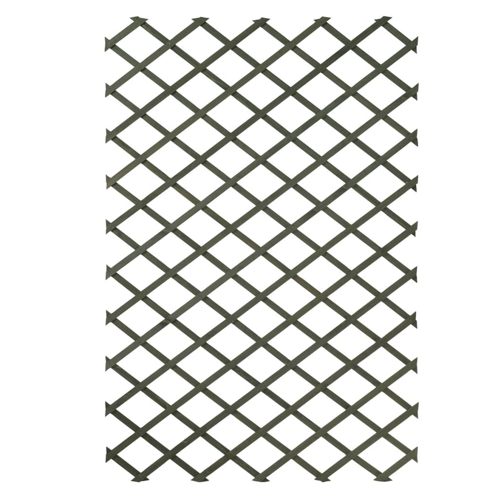 Garten-Rankgitter 100x200 cm Holz Grün 6041704