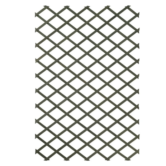 Garten-Rankgitter 100x200 cm Holz Grün 6041704