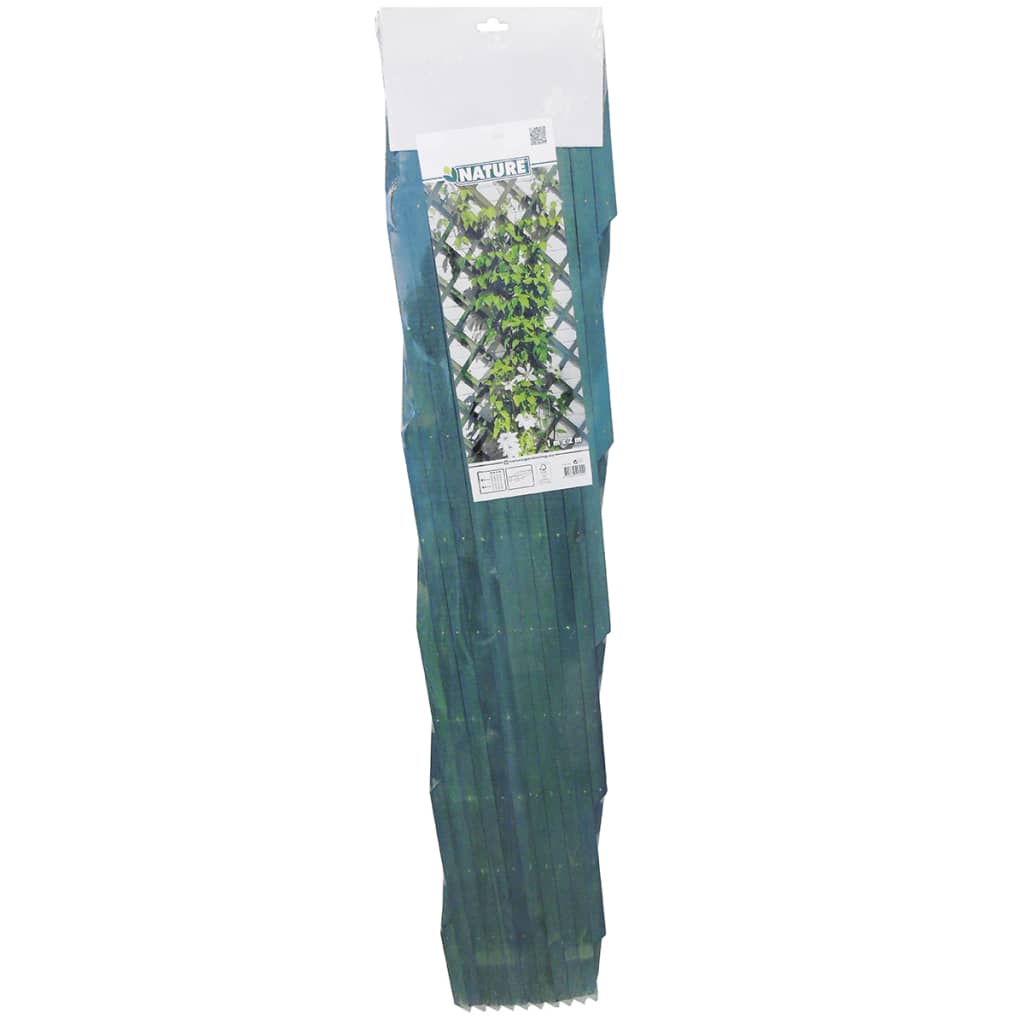 Garten-Rankgitter 100x200 cm Holz Grün 6041704