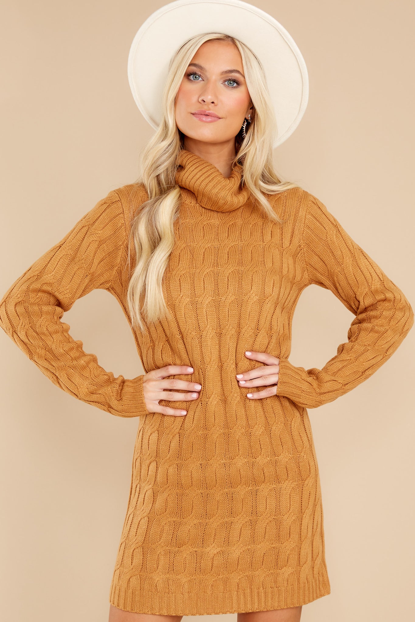 Season's Greetings Camel Sweater Dress