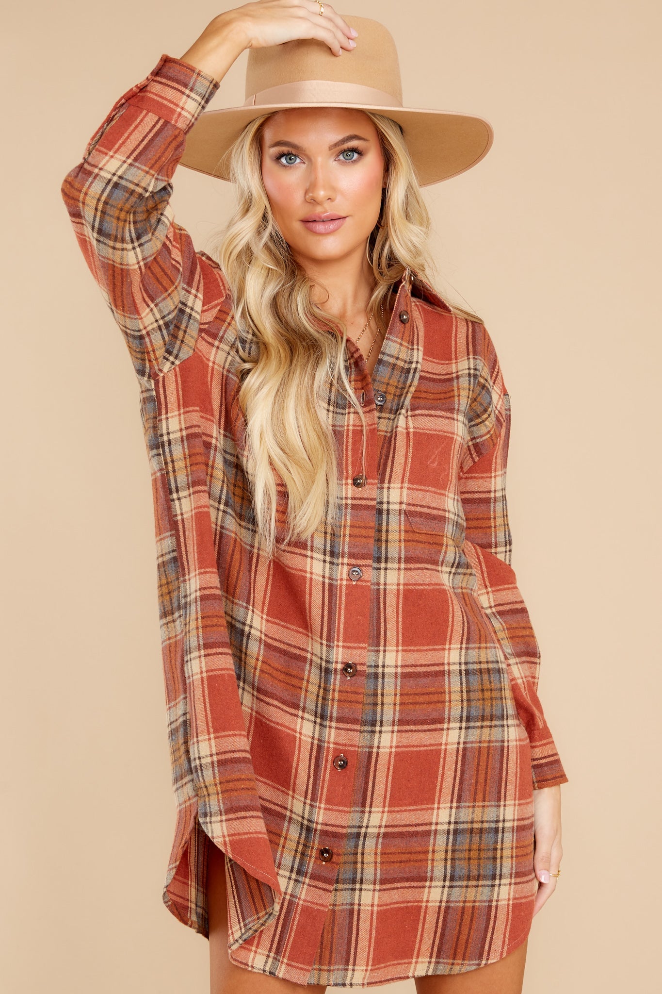 Times We've Had Burnt Orange Plaid Dress