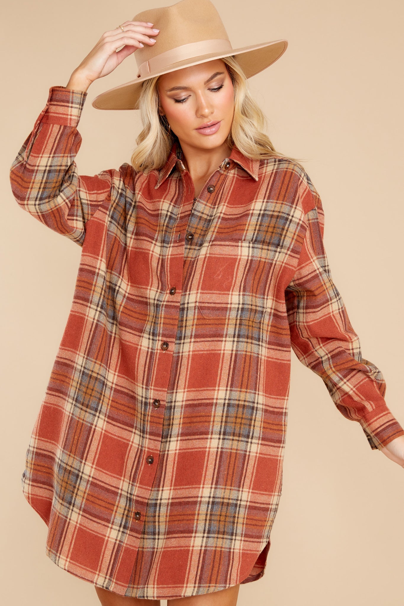 Times We've Had Burnt Orange Plaid Dress