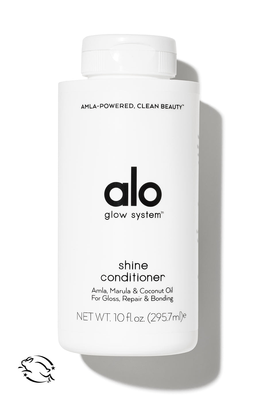 Shine Conditioner