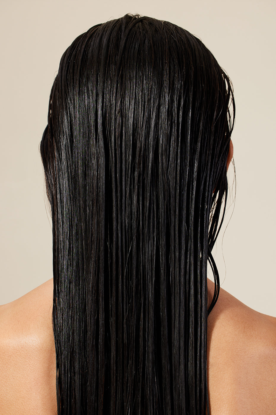 Shine Conditioner
