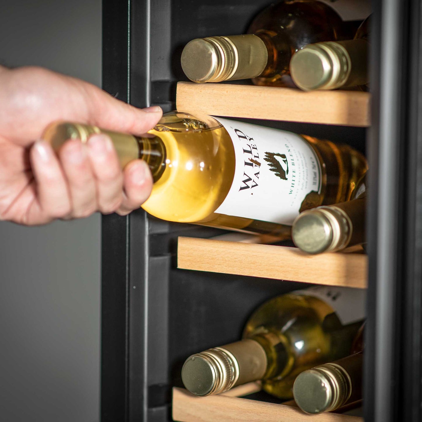 Baridi 12 Bottle Wine Cooler with Digital Touch Screen Controls & LED Light, Stainless Steel - DH74