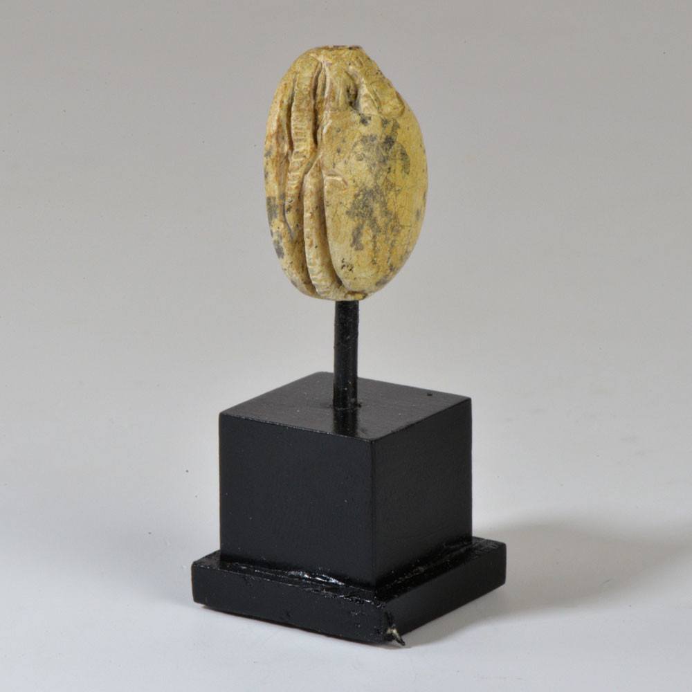 An Egyptian steatite design scarab, Hyksos Period, ca 1600 BCE