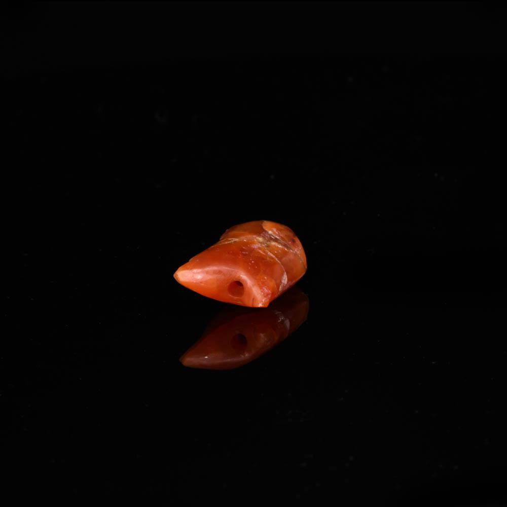 An Rare Egyptian Carnelian Fish Amulet, Middle Kingdom,  ca. 2040 - 1783 BCE