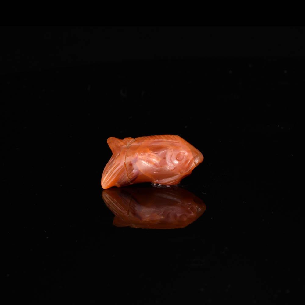 An Rare Egyptian Carnelian Fish Amulet, Middle Kingdom,  ca. 2040 - 1783 BCE