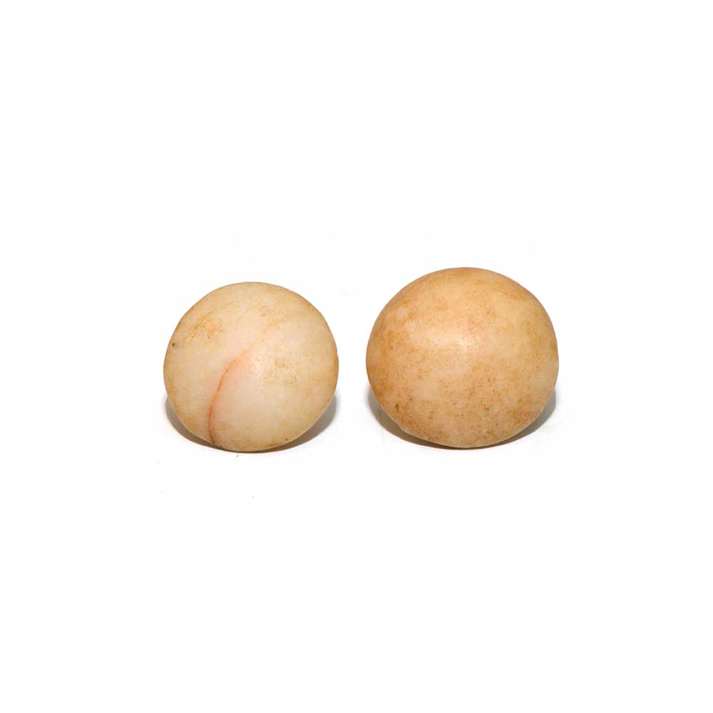 A pair of Egyptian Alabaster Earring Plugs, New Kingdom, 18th Dynasty, ca. 1550 - 1295 BCE