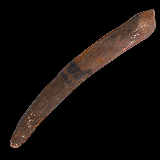 An Egyptian Wood Clapper, ex MMA, Late Middle Kingdom – Early New Kingdom, ca. 1802–1450 BCE
