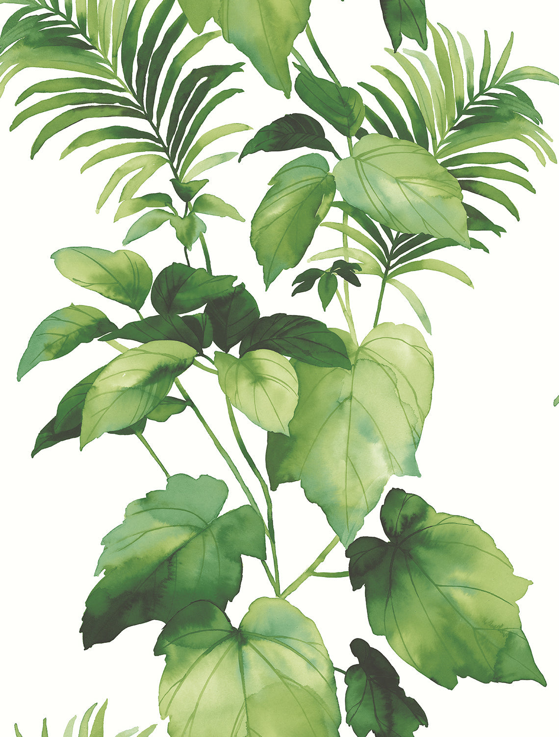 Leaf Stripe Peel-and-Stick Wallpaper in Summer Fern by Harry & Grace