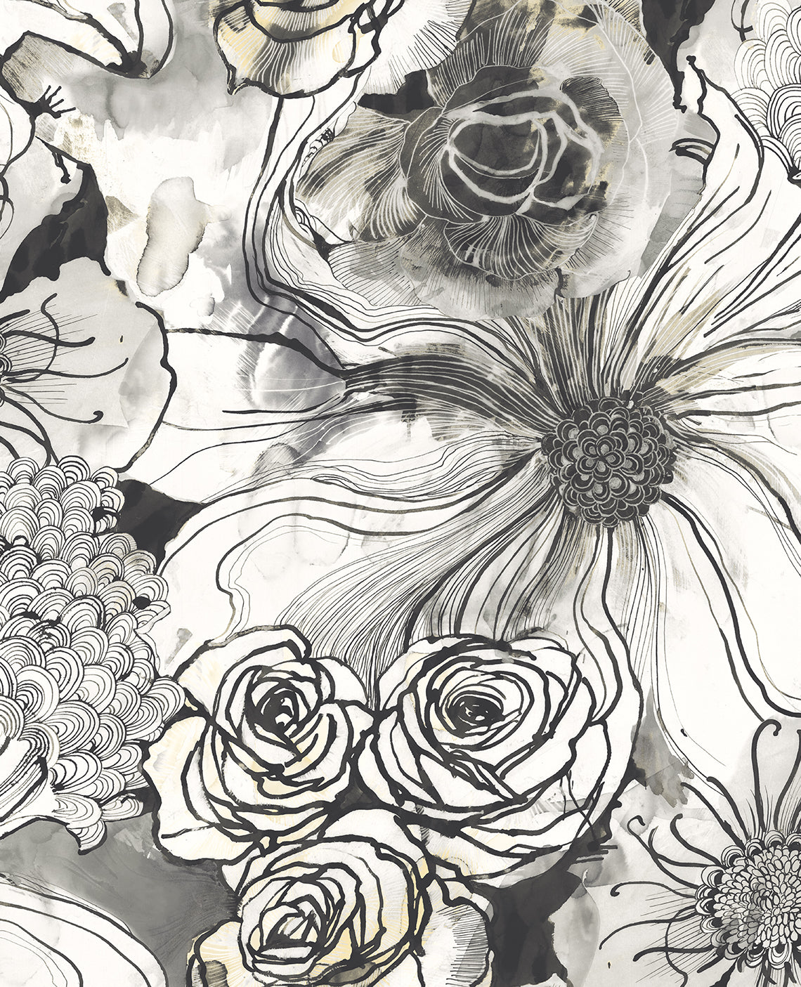 Ink Rose Peel-and-Stick Wallpaper in Onyx by Harry & Grace