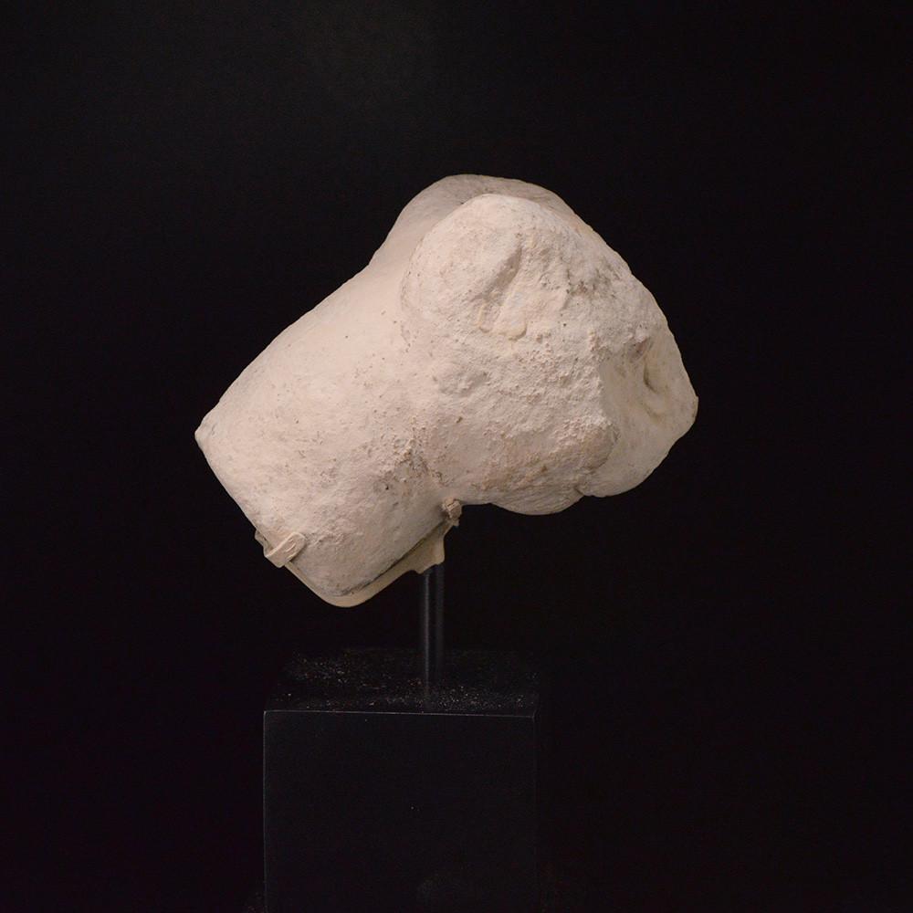 An Egyptian Limestone Head of a Cat, Late - Ptolemaic Period, ca. 664 - 332 BCE