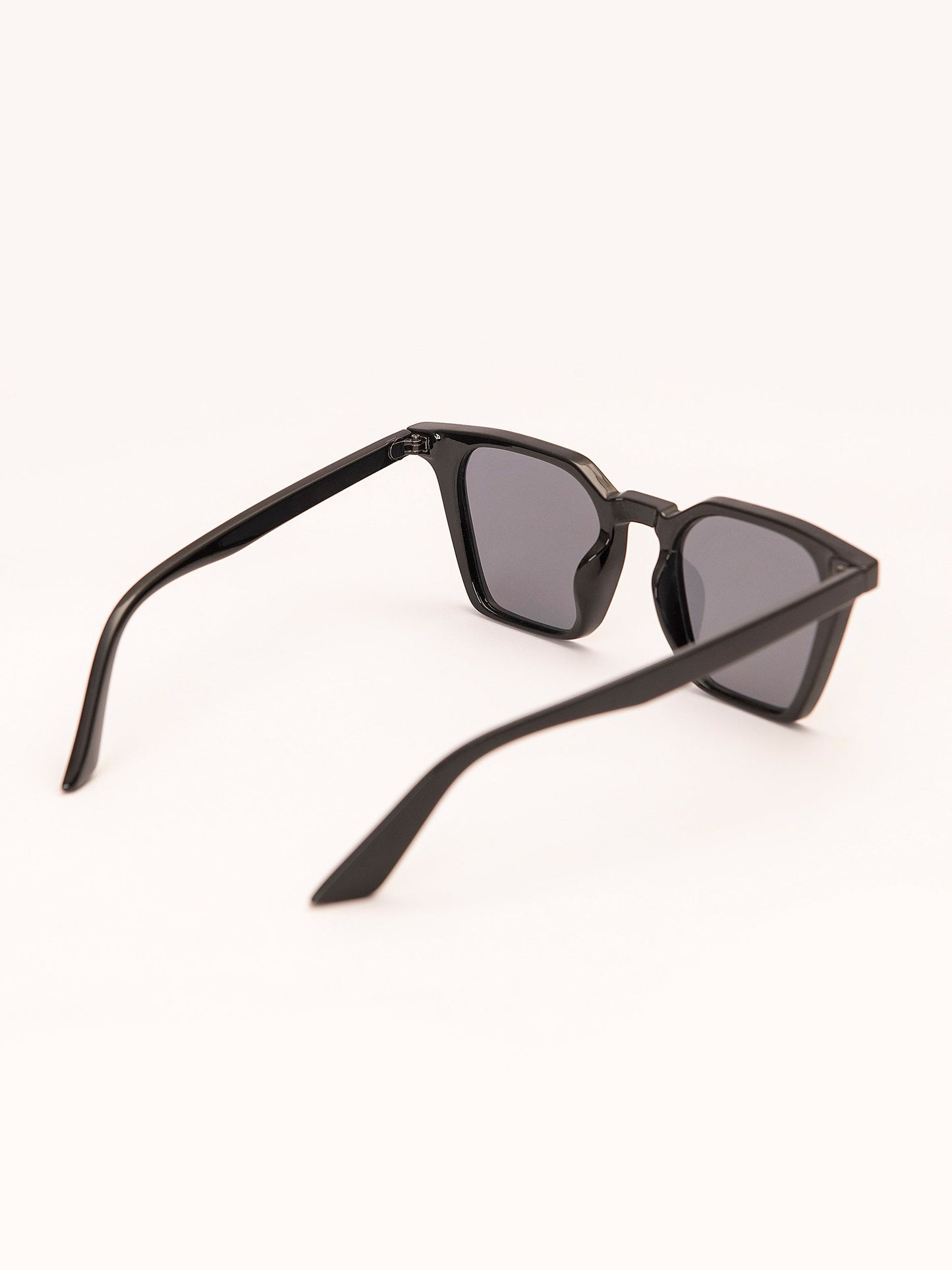 Wayfarer Sunglasses