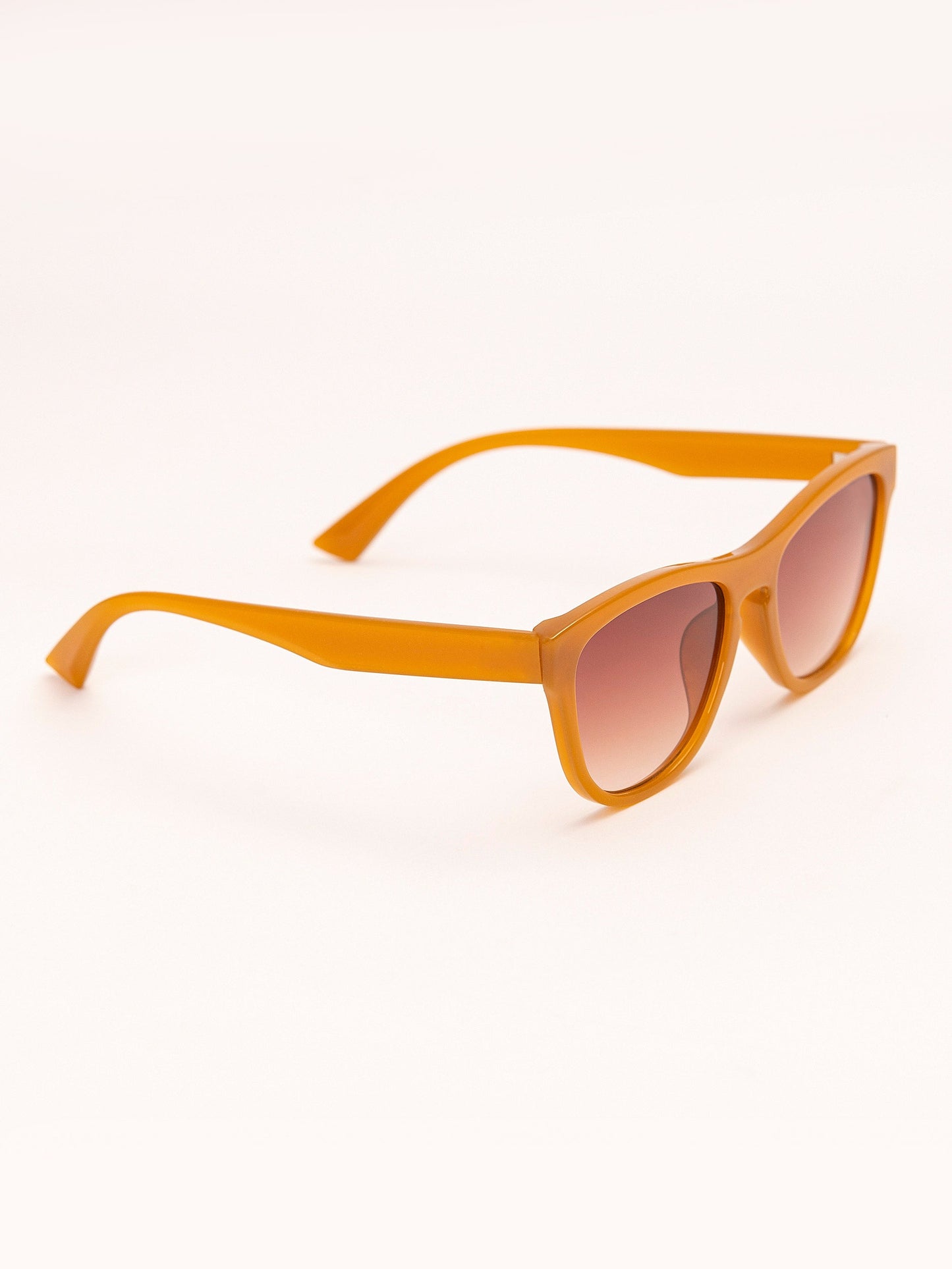 Wayfarer Sunglasses