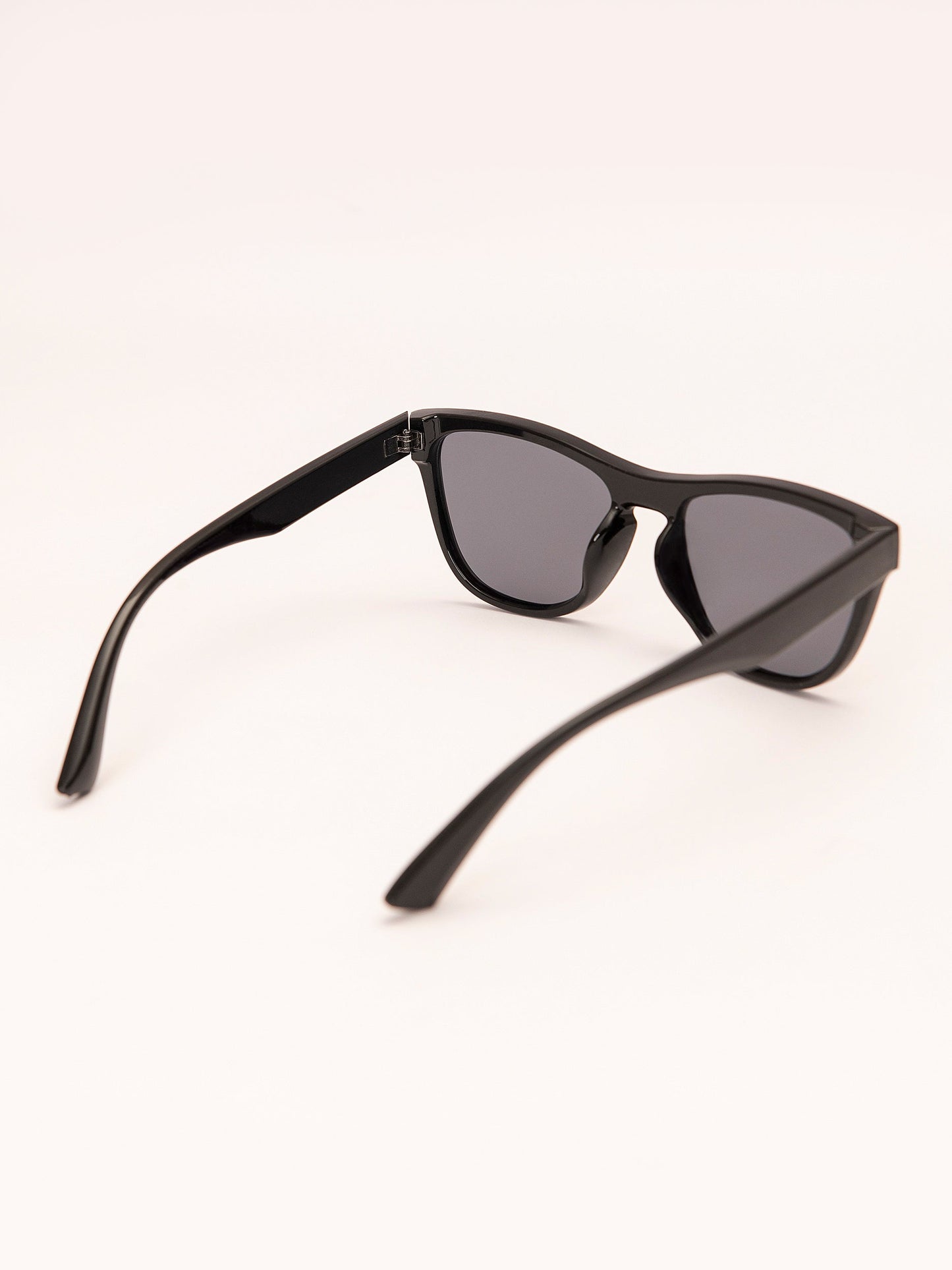 Wayfarer Sunglasses