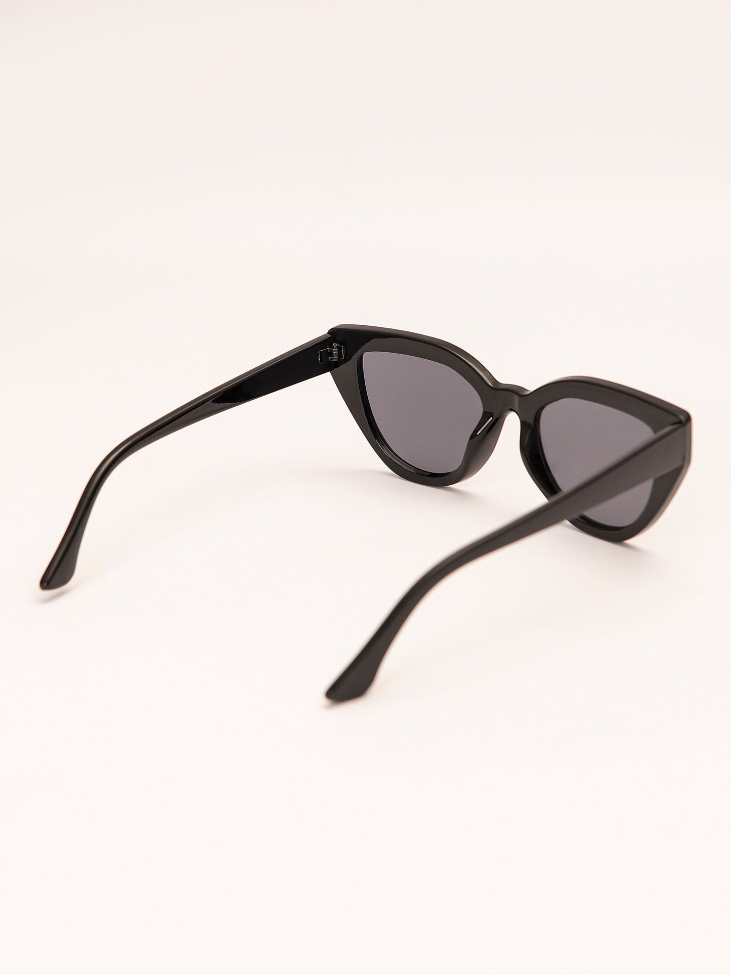 Wayfarer Sunglasses