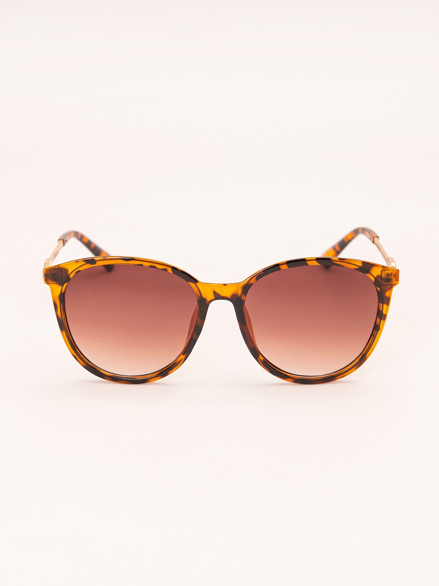 Wayfarer Sunglasses