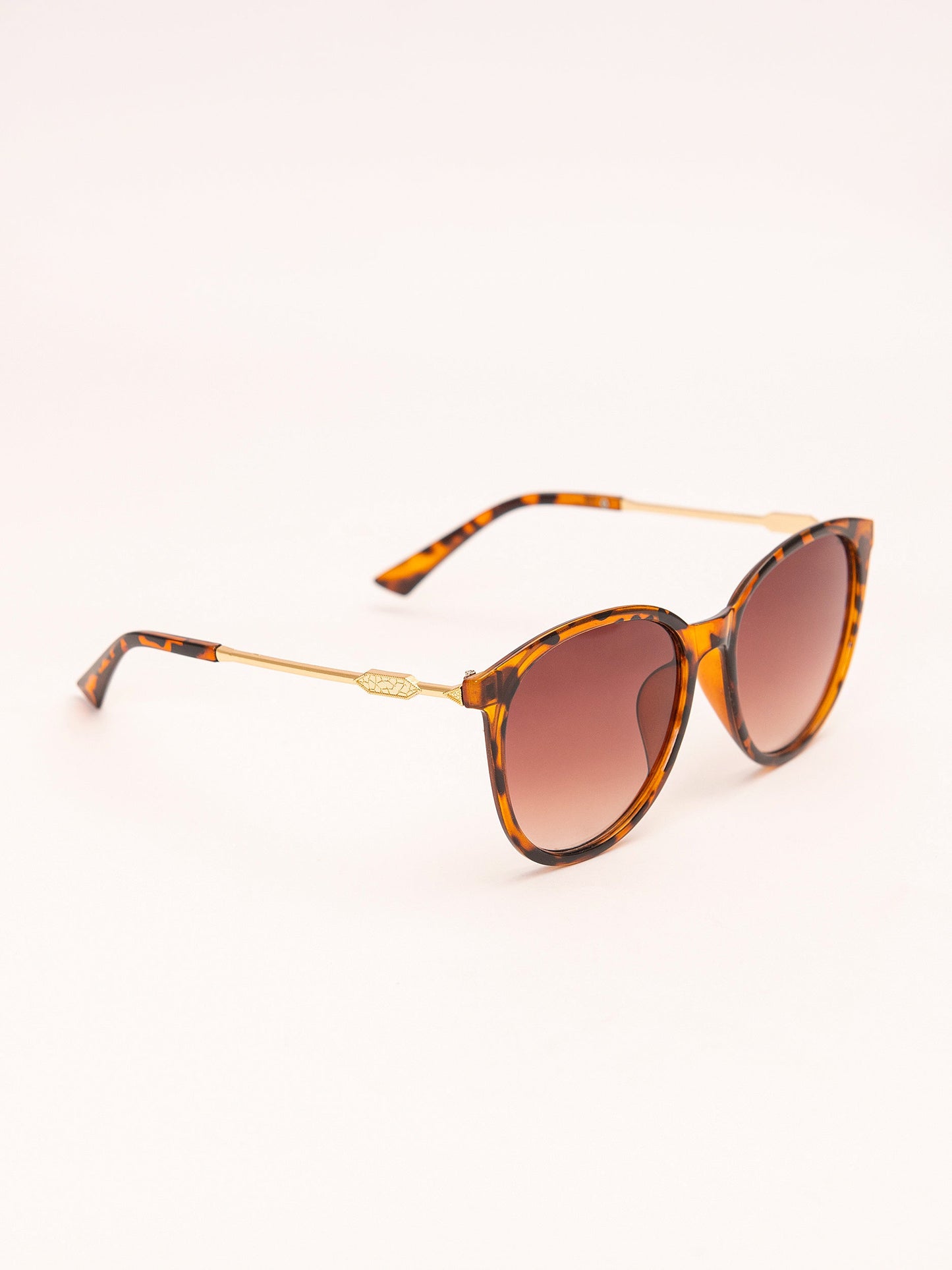 Wayfarer Sunglasses