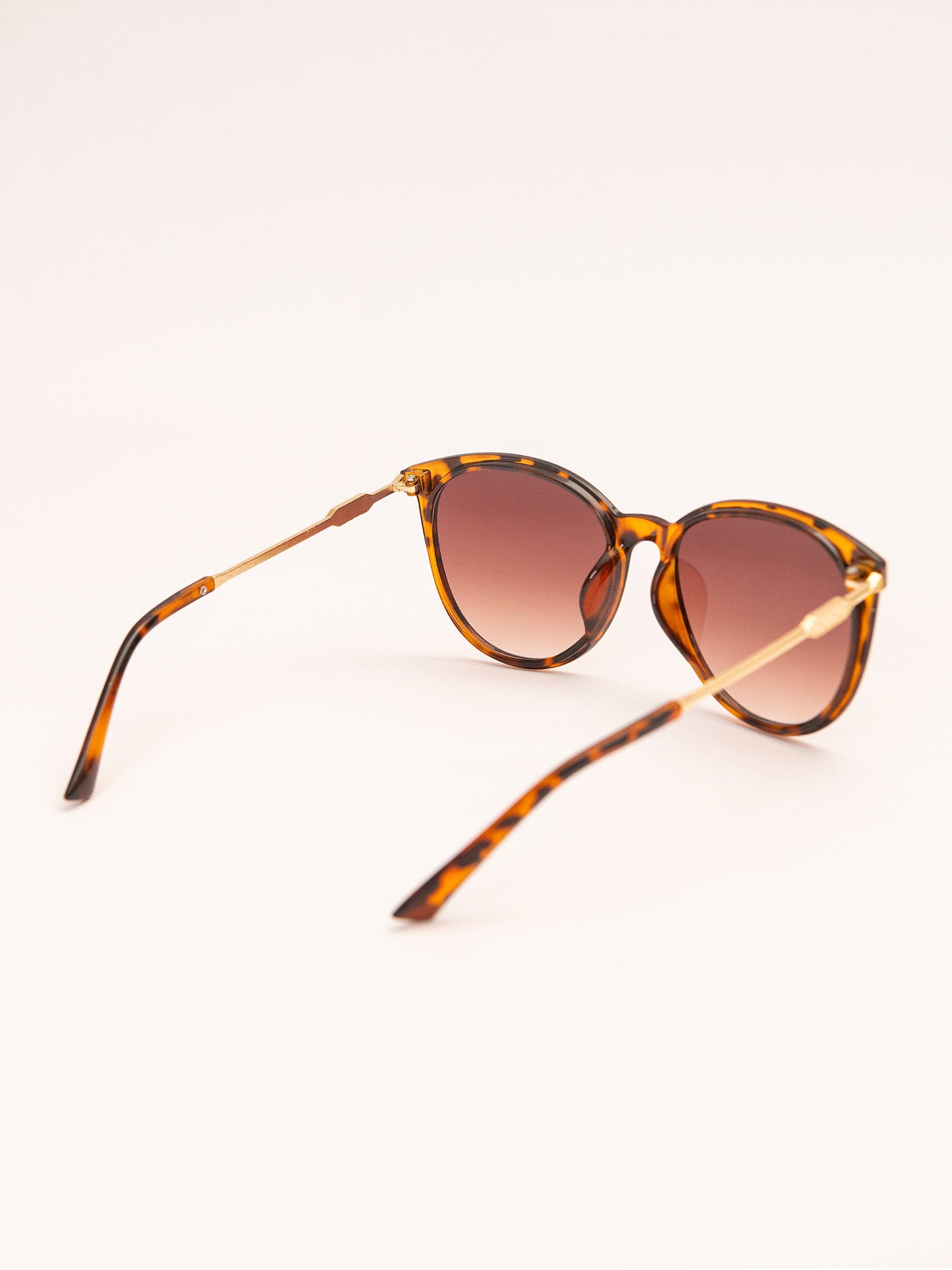 Wayfarer Sunglasses