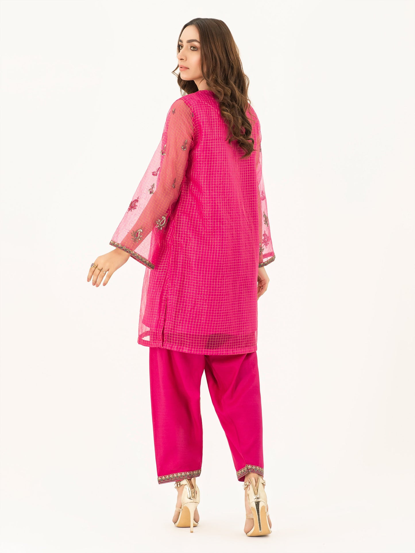 Embroidered Organza Suit