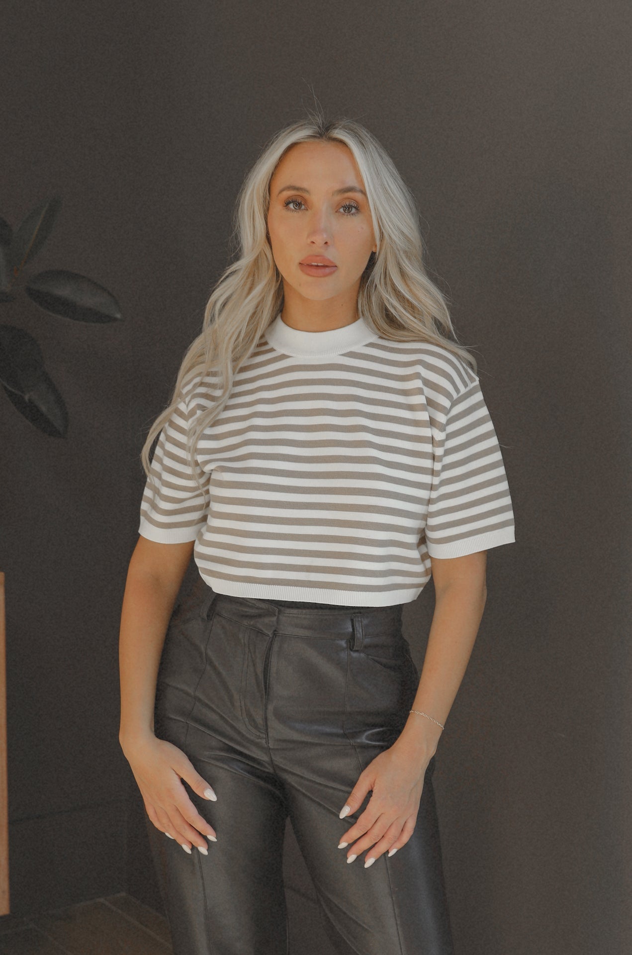 Tan Striped Top