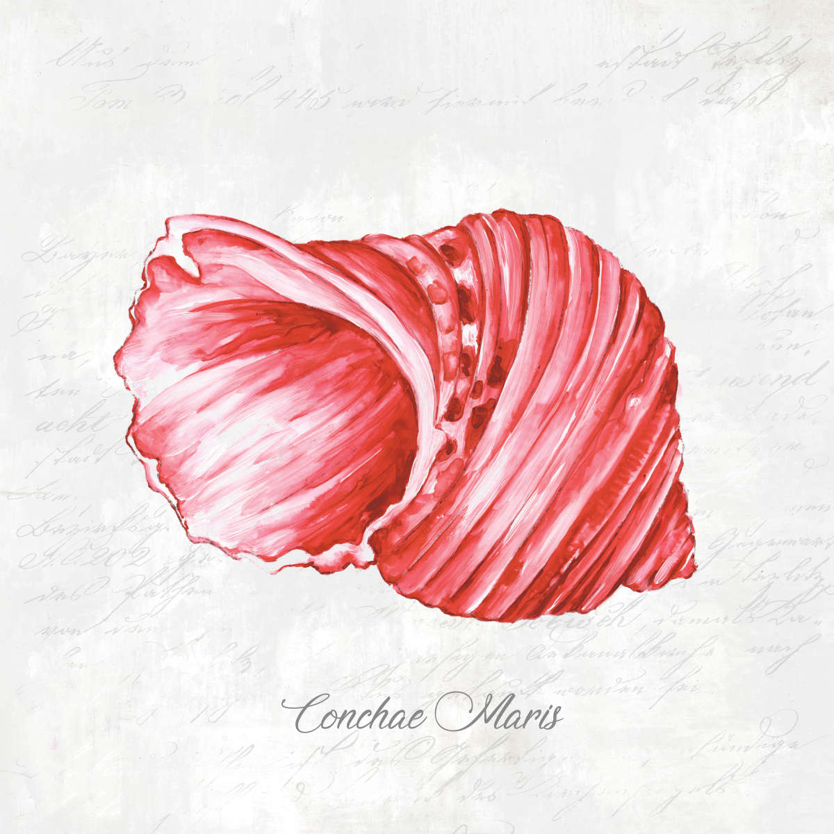 Red Seashell Wall Art