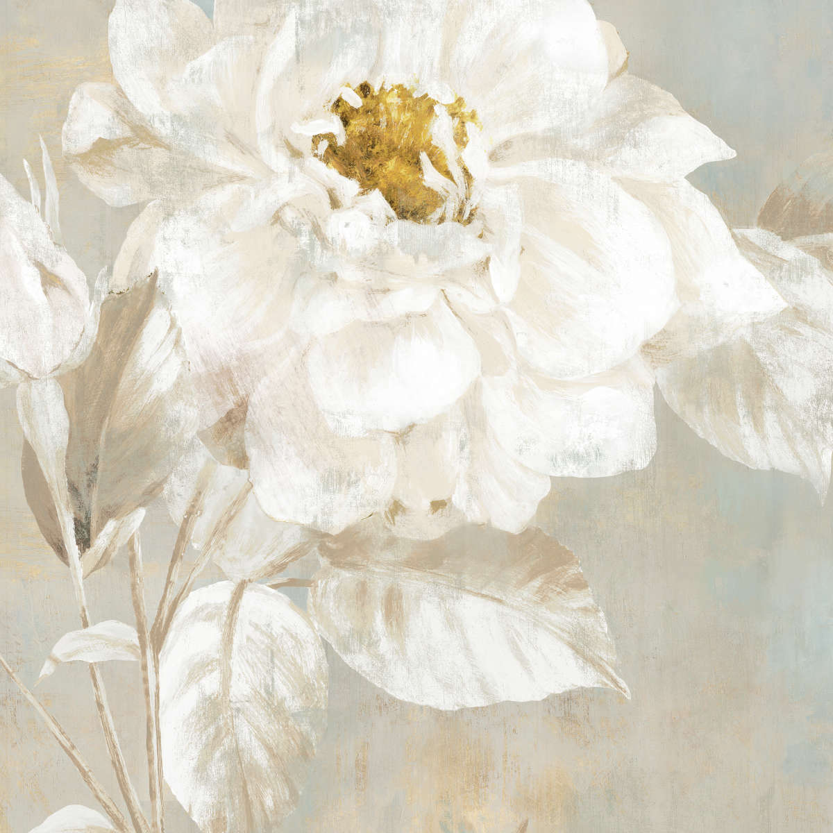 White Rose II Wall Art