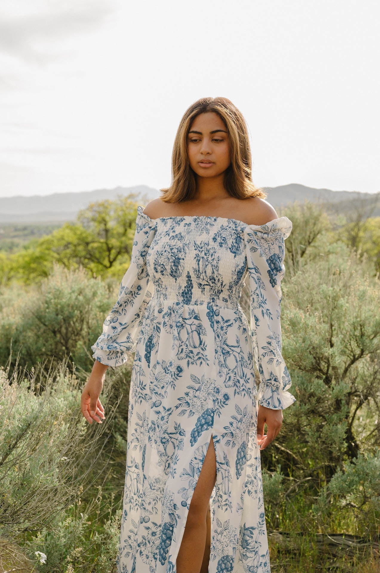 Sadie Blue and White Floral Dress