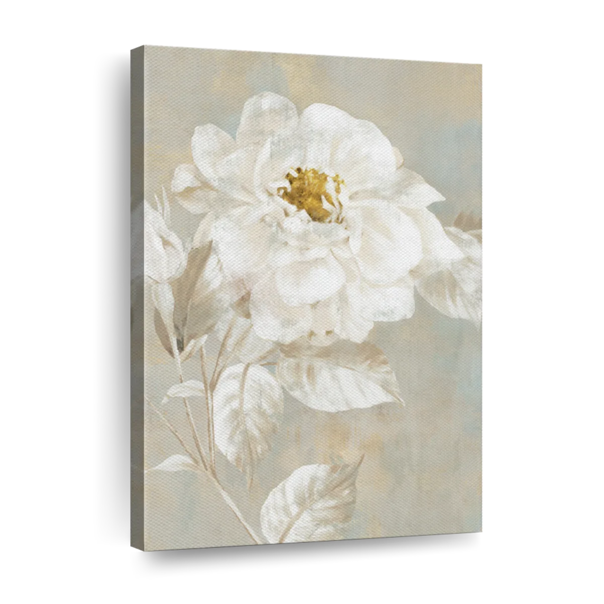 White Rose II Wall Art